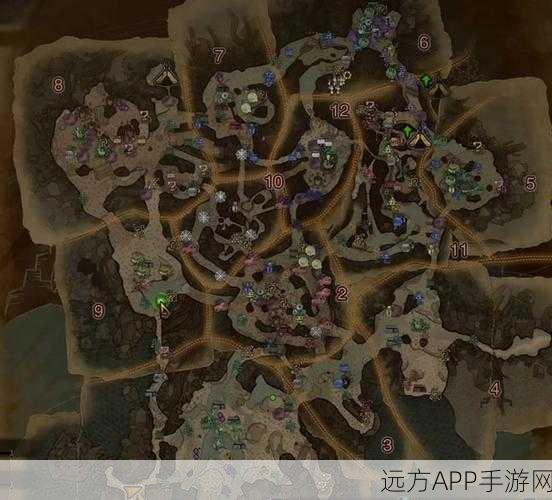 解锁狩猎新领域，怪物猎人古代树森林营地全面攻略