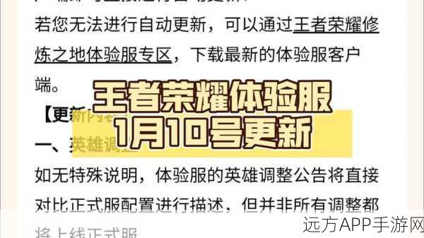 王者荣耀体验服惊现黑科技外挂，透视隐身肆虐，公平竞技何去何从？