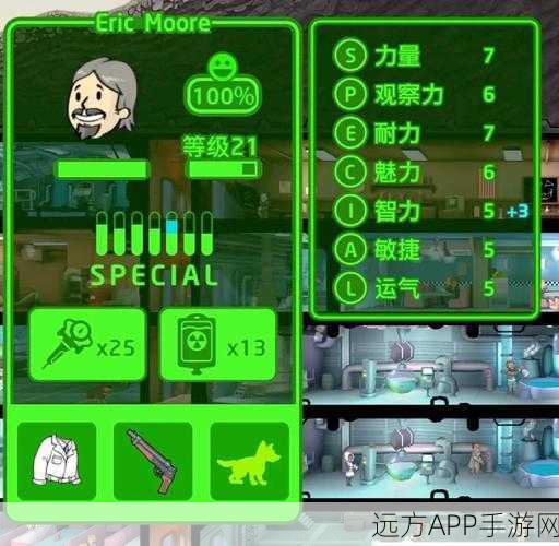 辐射避难所2025，人口激增秘籍，单机版与在线版全攻略