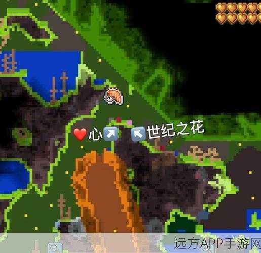 泰拉瑞亚花种使用指南，解锁神秘花园的奥秘