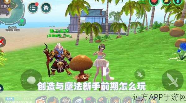 创造与魔法新区开放周期揭秘,掌握开区时间,先人一步探索奇幻世界!