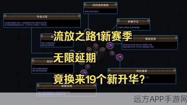 流放之路深度解析，揭秘25%减伤背后的战术布局与智慧对决
