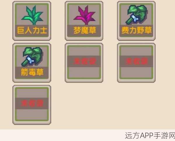 伊洛纳巨人力士挑战赛，深入雪城，揭秘隐藏力量