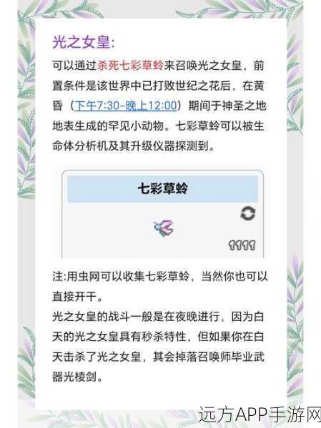 泰拉瑞亚深度攻略,解锁帕拉丁BOSS召唤秘籍与挑战新策略