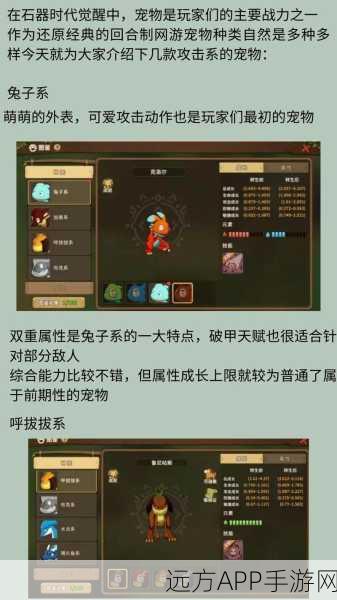 石器时代M宠物系统深度解析，打造最强萌宠战队攻略