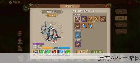 石器时代M宠物系统深度解析,打造最强萌宠战队攻略