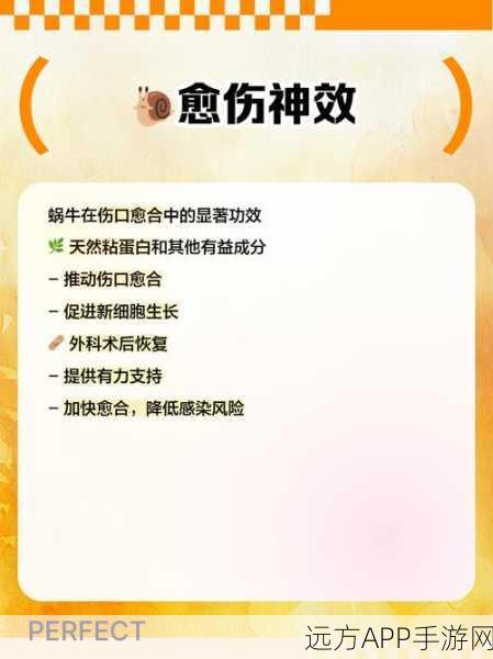 九阴真经蜗牛集市交易全解析,常见问题与应对策略