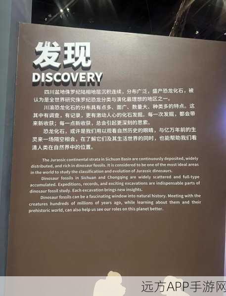 化石迷必玩!我的化石博物馆休闲模拟新游深度解析