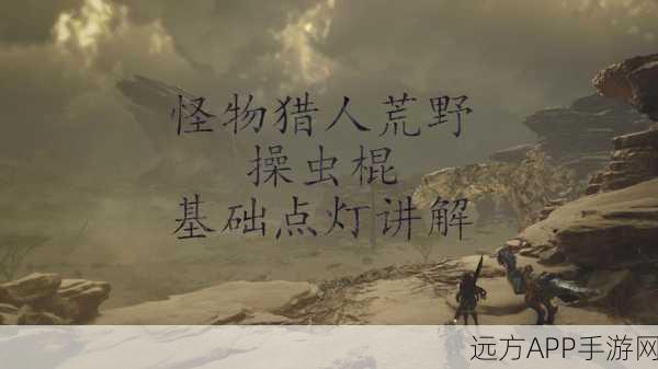怪物猎人OL深度攻略，揭秘光虫密集地图，助你狩猎效率翻倍