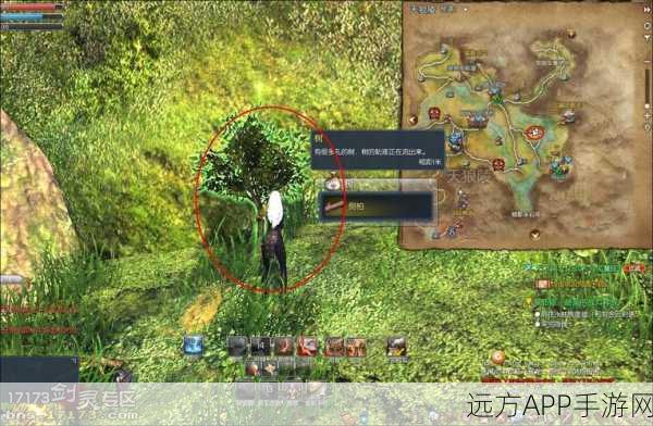 剑灵风云再起,号内珍宝遭劫,219级玩家面临挑战