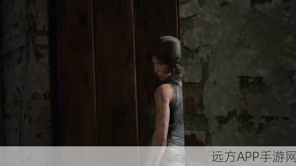 古墓丽影10,揭秘飞机残骸探险终极攻略,解锁隐藏宝藏