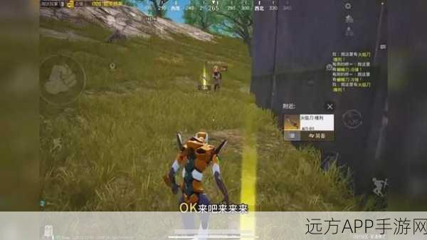蝴蝶刀之谜，揭秘动物大联盟中蝴蝶刀的稀有掉落地点