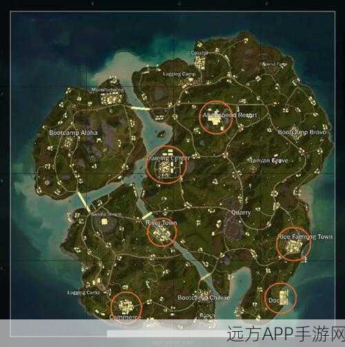 手游探索,揭秘刺激战场雪地地图中的隐秘玫瑰花海