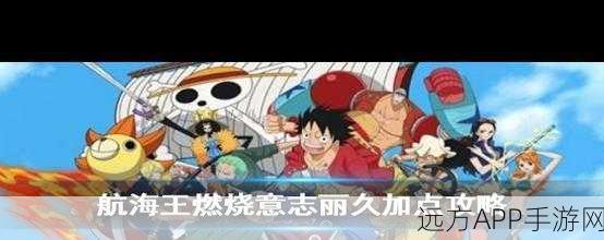 航海王燃烧意志,全面攻略!技能重置详解与实战应用指南