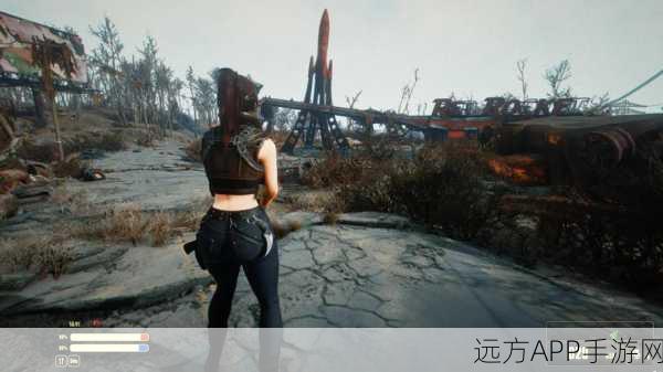 辐射4探险新招,手雷探路技巧深度揭秘