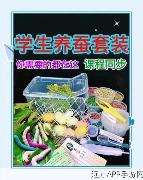创造与魔法深度攻略,蚕宝宝养殖秘籍大公开