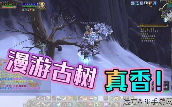 揭秘魔兽世界漫游古树，获取攻略与隐藏秘密大公开