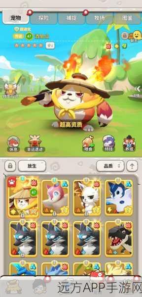 手游攻略,不休的乌拉拉资源高效利用秘籍,助你称霸冒险之旅