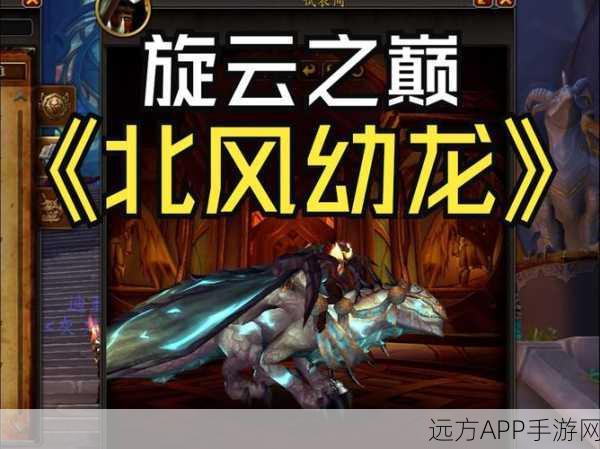 飞龙幼崽大揭秘,元气骑士核心攻略,助你轻松征服天空霸主
