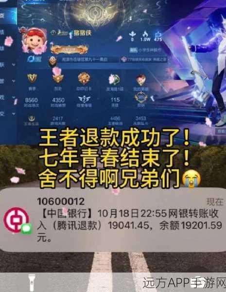 王者荣耀免流量服务退订全攻略,轻松管理你的游戏流量