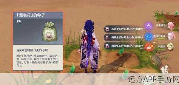 原神行秋天赋升级材料全攻略,高效获取途径揭秘