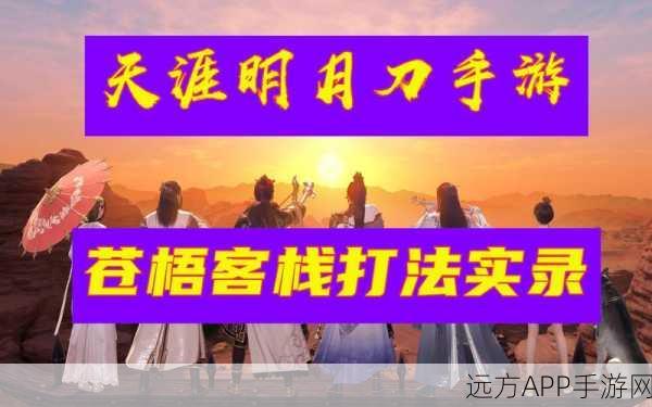 天涯明月刀手游,揭秘经验副本的隐藏入口与攻略秘籍