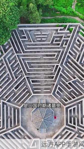 探秘遗落之城，迷宫深处的不解之谜与竞技盛宴