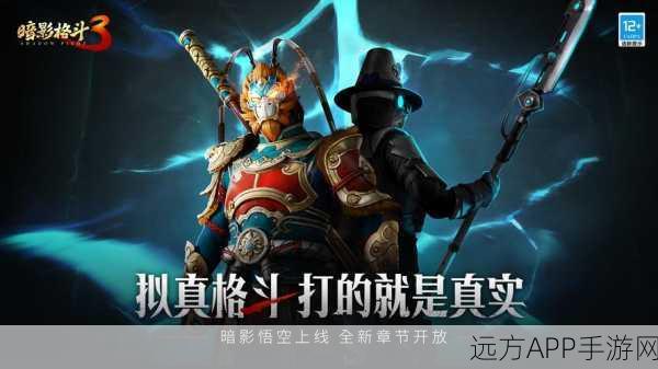 暗影格斗3,独家升级攻略,揭秘飞速成长秘籍!