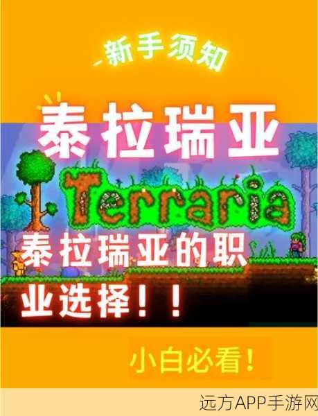 泰拉瑞亚职业深度解析，探索最适合你的冒险之旅