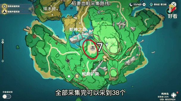 揭秘原神稻妻区域，墓碑、血斛与古老传说的深层联系