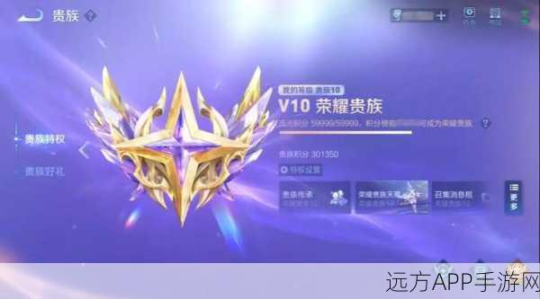 王者荣耀贵族等级深度剖析,尊享特权与价格体系全览,揭秘贵族专属赛事福利