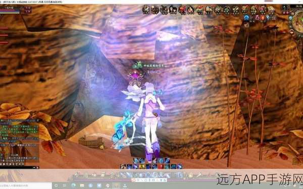 寻宝网梦幻诛仙2，揭秘宝藏探险，赢取珍稀道具大挑战