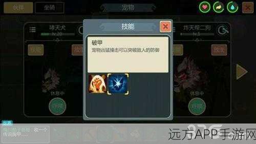 探秘创造与魔法,40级剑齿虎出没地全揭秘,助你征服野性之森!