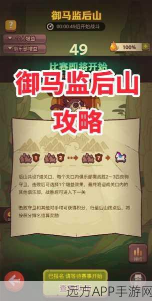 咸鱼之王公演15关通关宝典，终极攻略与实战技巧大揭秘