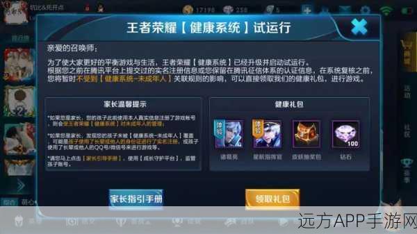 王者荣耀成年玩家游戏时长详解,健康游戏,畅享竞技乐趣