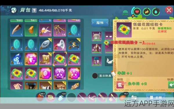 创造与魔法饲料肉块,解锁宠物养成新篇章的必备道具