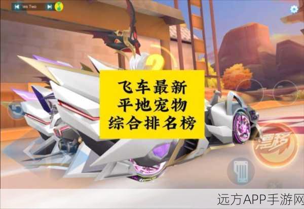 QQ飞车手游，顶尖宠物排行榜深度解析及竞速技巧揭秘