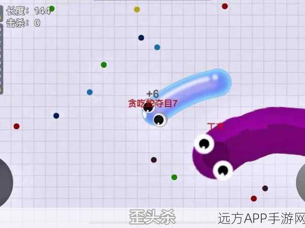 贪吃蛇大作战,高手进阶秘籍与竞技细节揭秘