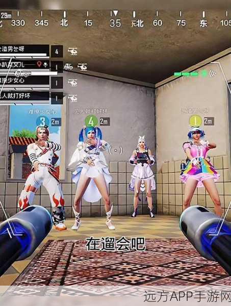 特训岛超体训练揭秘,和平精英高手如何征服最高点?