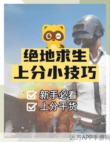 绝地求生，丢包应对策略与高手进阶秘籍