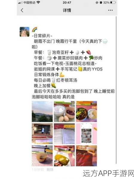 幻塔速刷攻略,高效采集蕨菜汤材料全解析