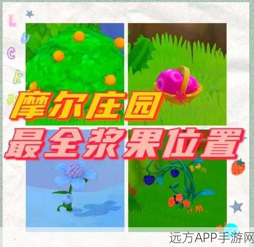 摩尔庄园手游,浆果采集攻略大揭秘,高效路线助你满载而归