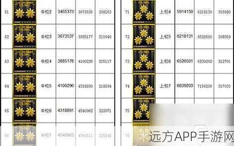 CF军衔查看指南，解锁军衔等级的秘密与竞技荣耀