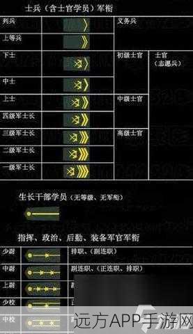 CF军衔查看指南,解锁军衔等级的秘密与竞技荣耀