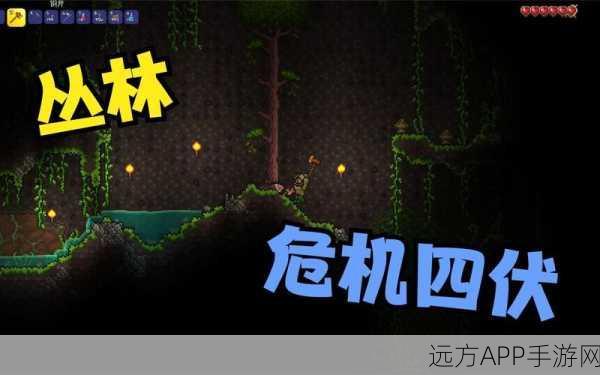 泰拉瑞亚深度探险，揭秘丛林地形生存与宝藏攻略