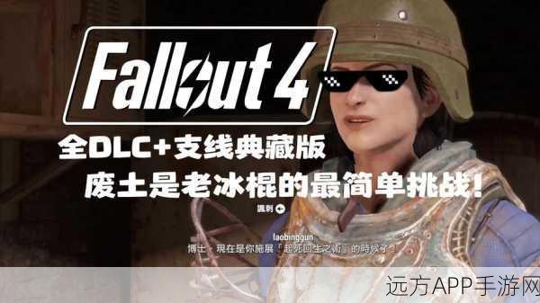 辐射4角色选择攻略,新手玩家打造专属废土英雄的秘籍