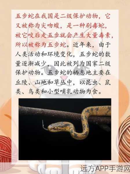 妄想山海翠雾露高效获取秘籍,解锁珍稀资源的终极攻略