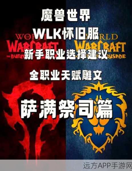 魔兽世界WLK怀旧服,商业技能精选指南,助你称霸艾泽拉斯!