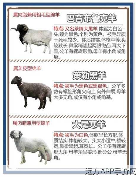 2025年方舟绵羊实用价值介绍,手游羊肉获取攻略!