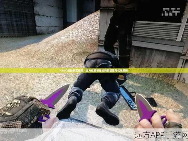刀塔传奇深度解析，公会商店兑换指南，凤凰VS猴子，谁才是你的最优选？
